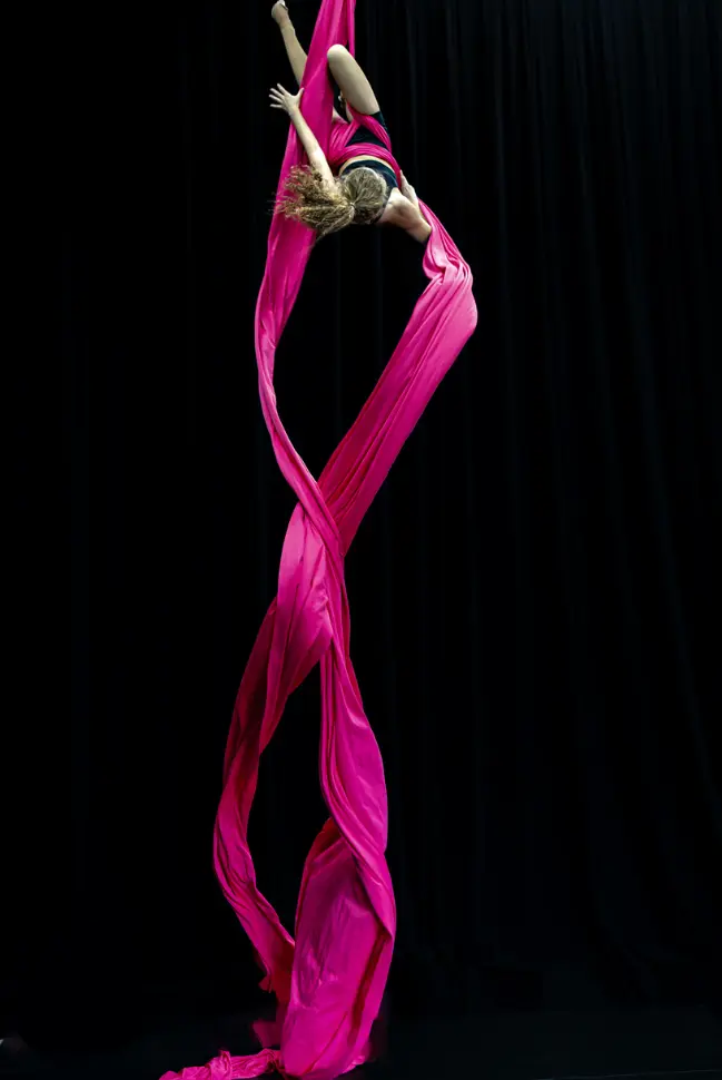 Paige Horil - Wrapping 2